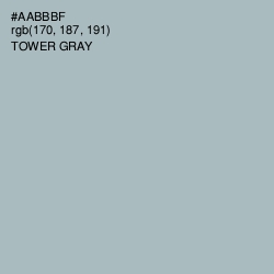 #AABBBF - Tower Gray Color Image